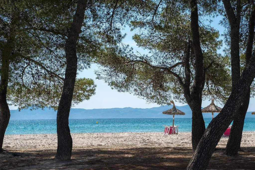 Beach, Caprice Playa de Alcudia Apartments, Majorca