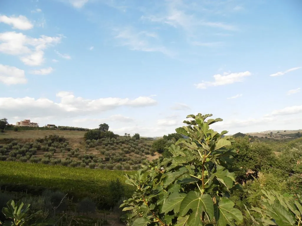 General view, Podere Caldaruccio La Pineta, Perugia