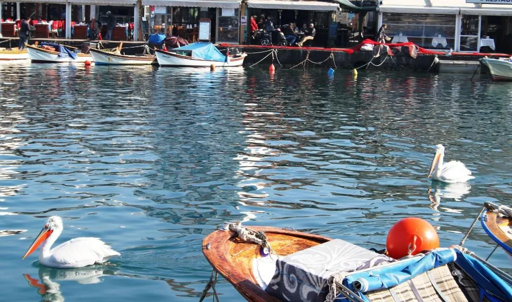 Terrace, Foca Kumsal Hotel, Izmir