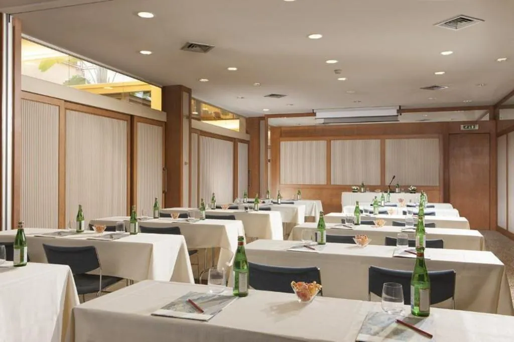 Conferences, Dei Borgognoni, Rome