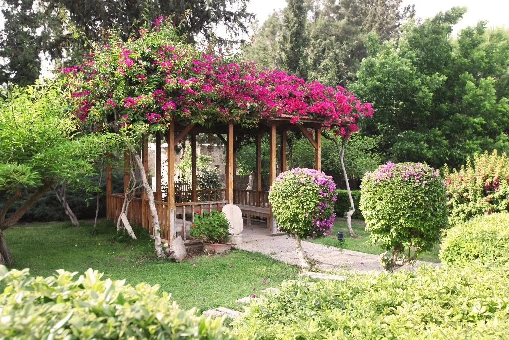 Lobby, Mehmet Ali Aga Mansion, Dalaman