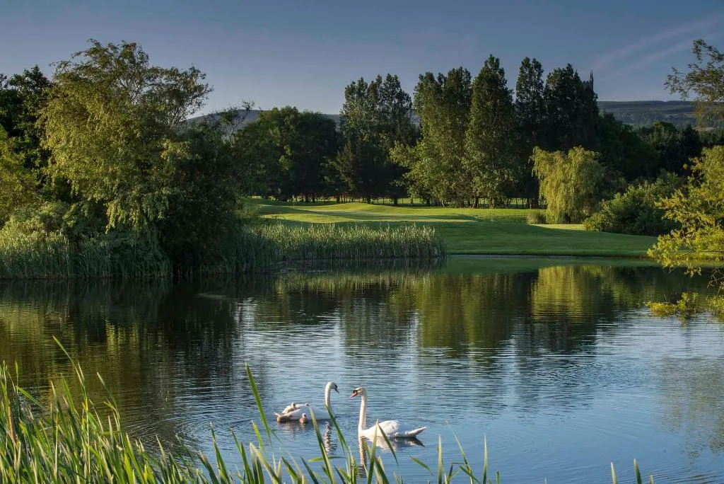 SINGLE STANDARD Room, Citywest Hotel, Conference & Event Centre, Dublin