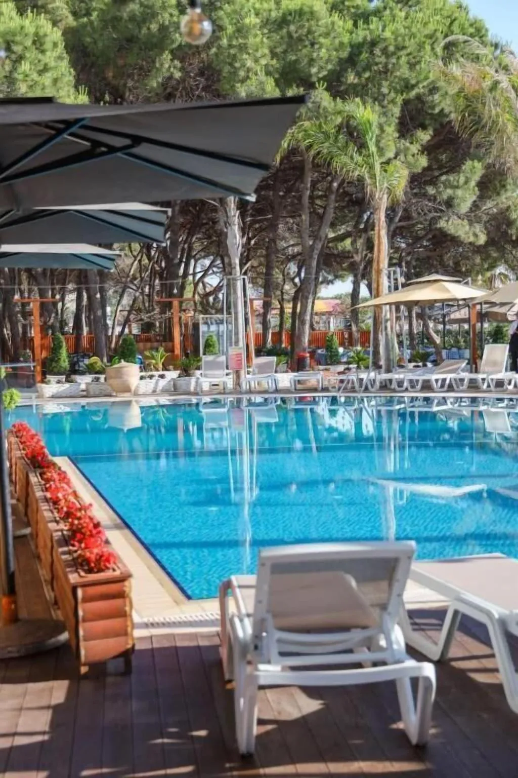 Sports and Entertainment, Vm Resort Spa, Kavaje
