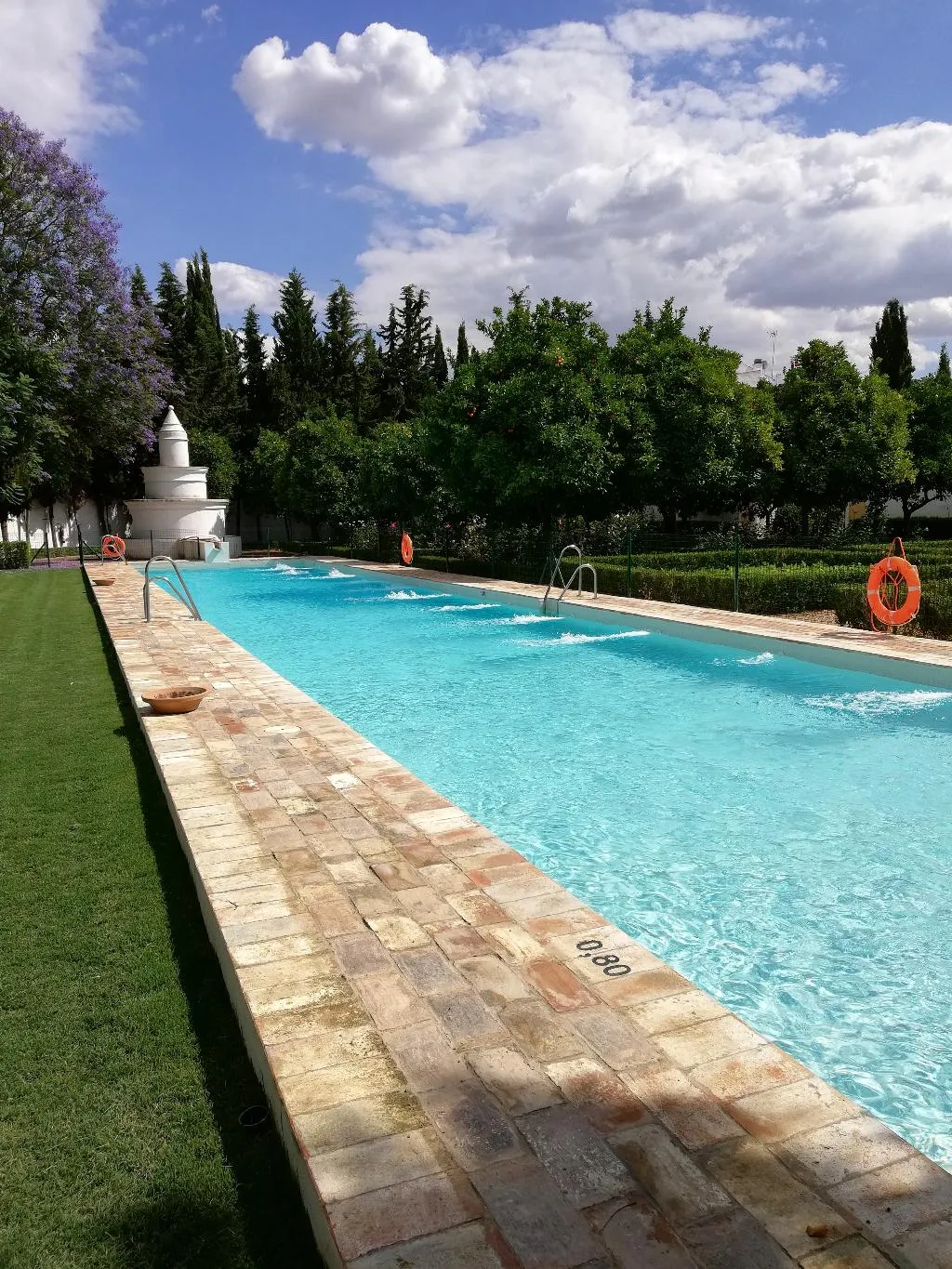 Pool, Monasterio de San Francisco, Costa Del Sol