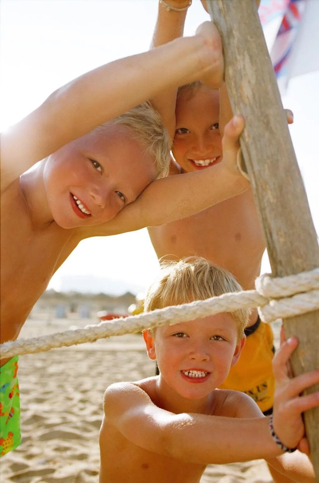 Sports and Entertainment, Allegro Playacar, Cancun Area