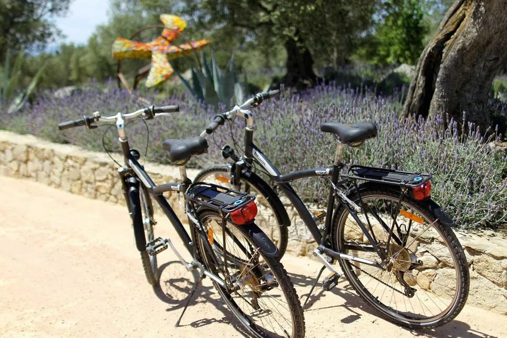 Sports and Entertainment, Hotel Mas Lazuli, Costa Brava