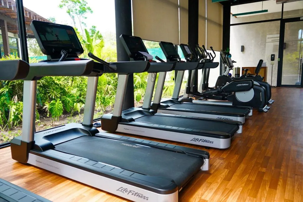 Sports and Entertainment, Aloft Tulum, Cancun Area