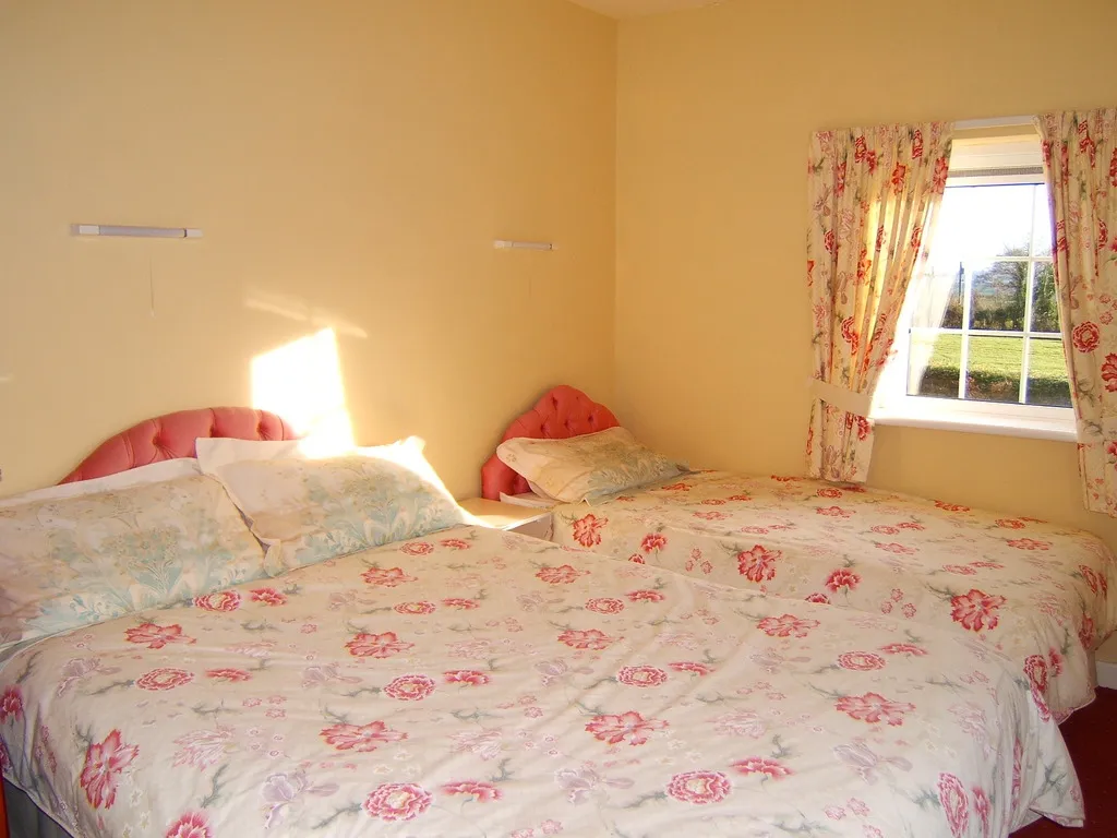 Room, Findus House, Cork