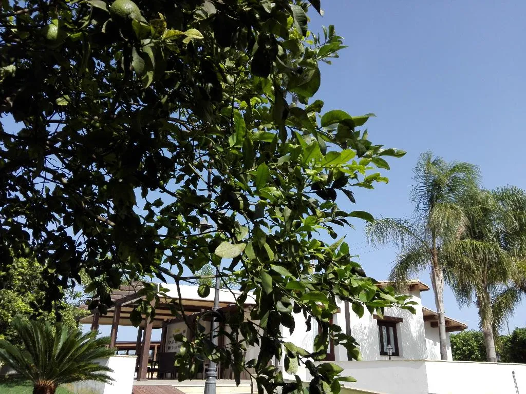 General view, Agriturismo Terra dei Limoni, Catania