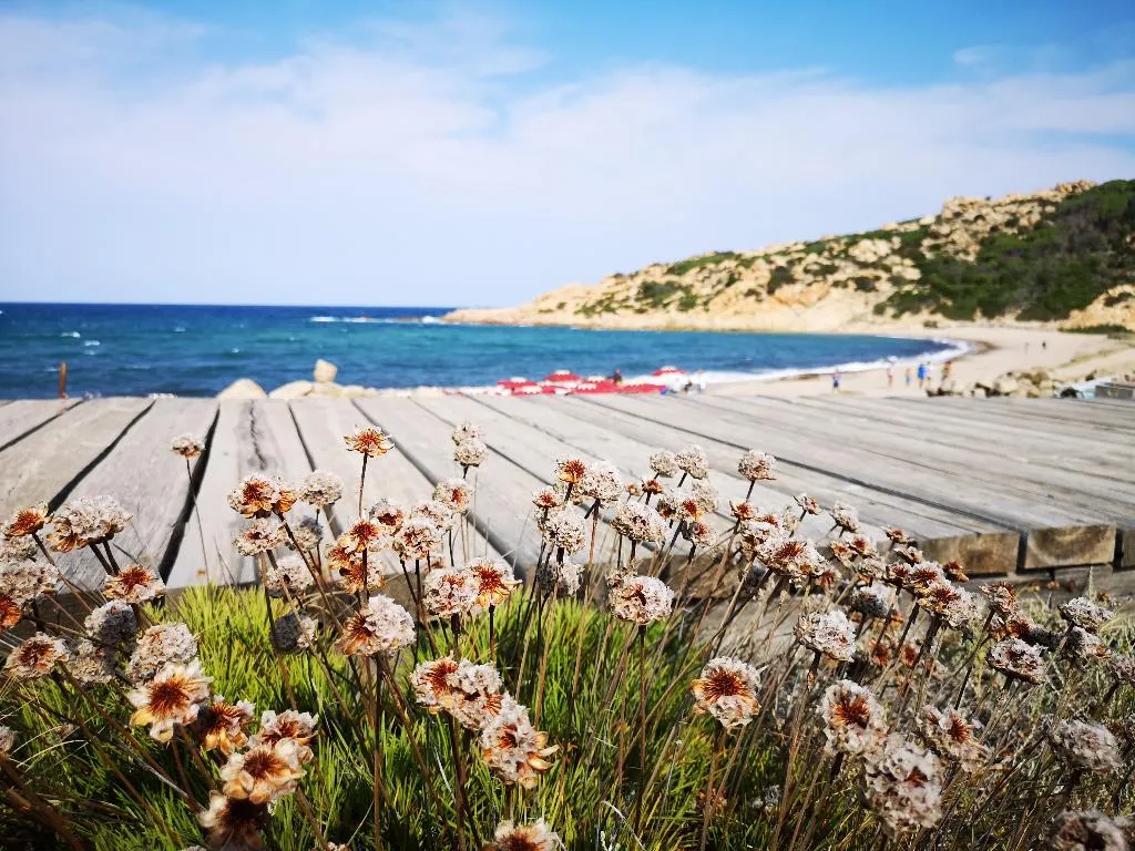 Beach, Club Esse Gallura Beach Village, Olbia