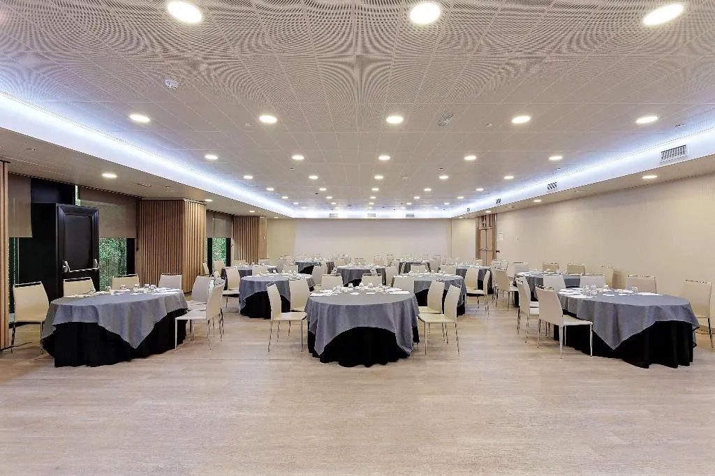 Conferences, Melia Avenida America, Madrid