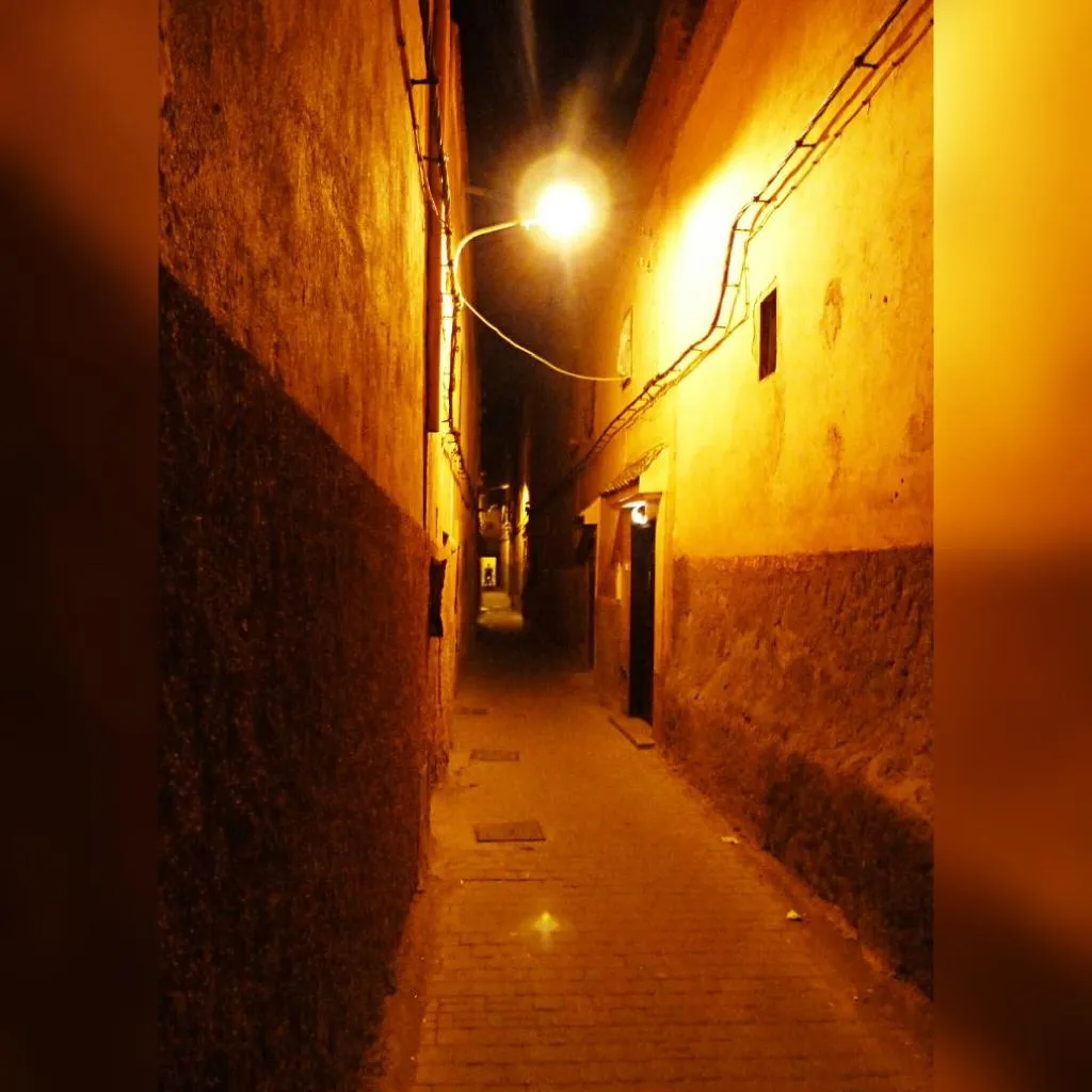 Conferences, Riad Al Mansoura, Marrakech