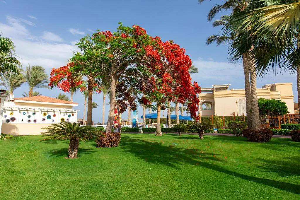 General view, Rixos Sharm El Sheikh Adults Only 18+ ALL INCLUSIV, Red Sea Riviera