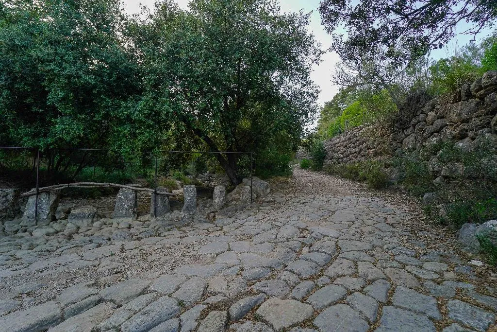 Sports and Entertainment, Hotel Rural S'Olivaret, Majorca