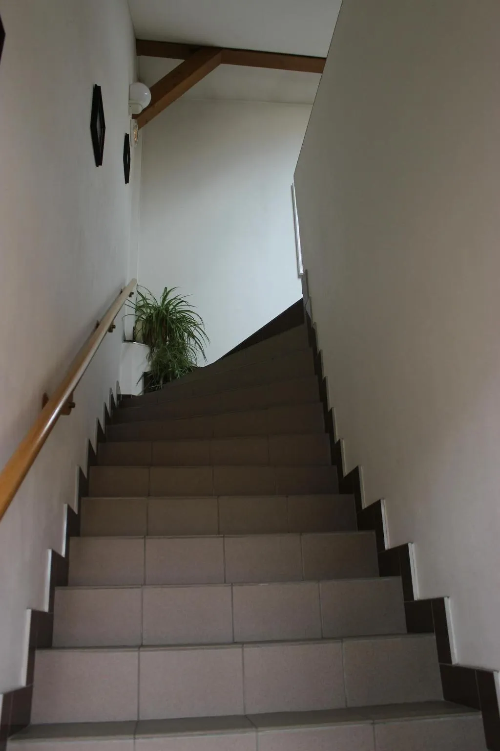 Lobby, Emma Penzion, Prague