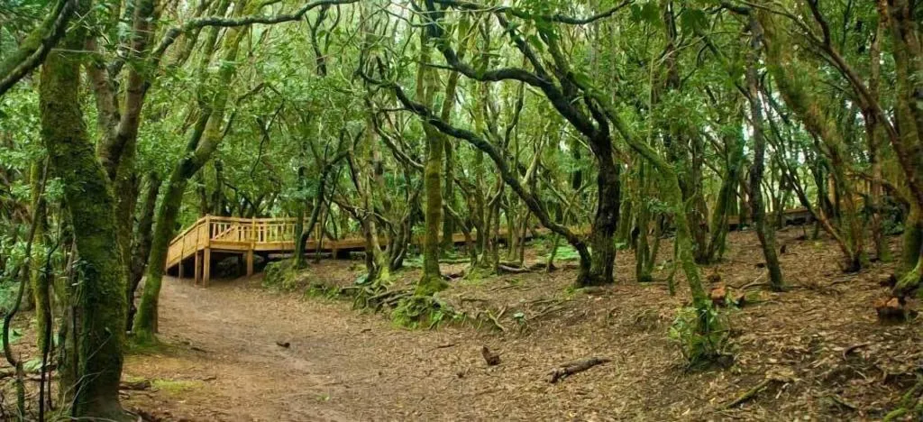 General view, Chalet Anagato, Tenerife