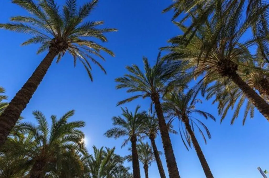 General view, Beatriz Cozy Inns, Costa Del Sol