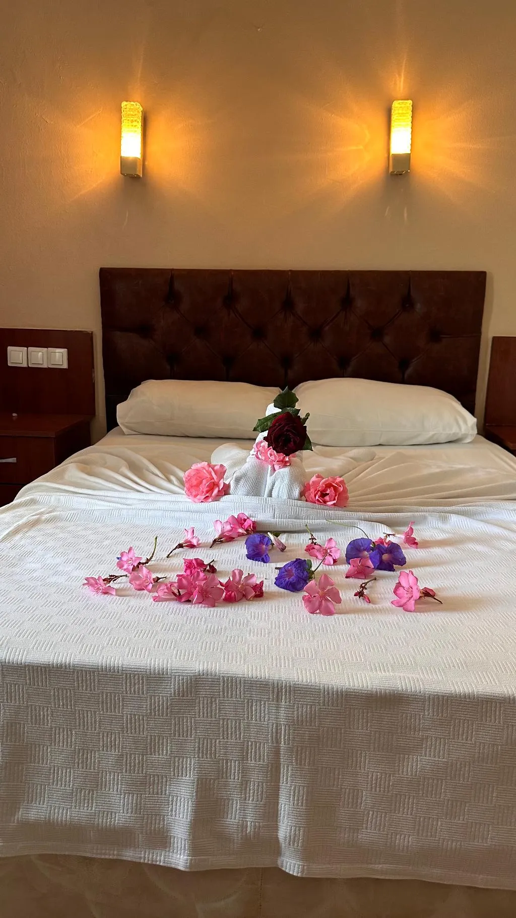 STUDIO STANDARD Room, Muer City Kemer Hotel, Antalya