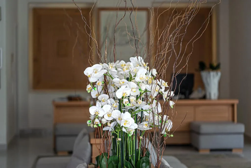 Lobby, Nissaki Boutique Hotel, Mykonos