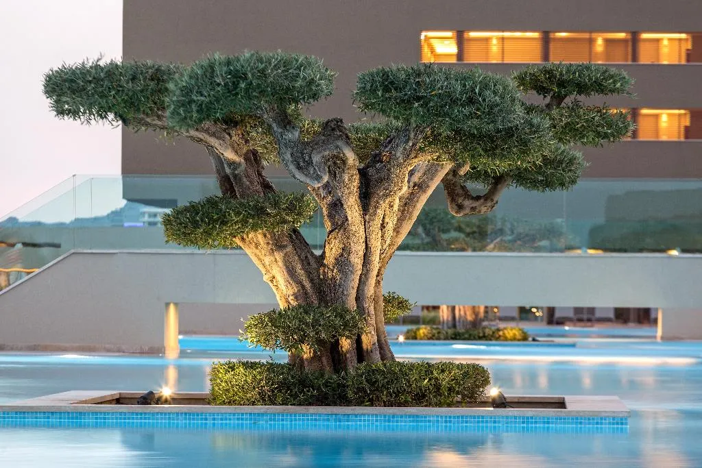 Pool, Amada Colossos Ultra All Inclusive Resort, Rhodes