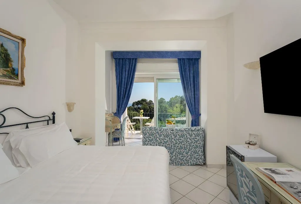 Double or Twin DELUXE SUPERIOR Room, La Floridiana, Naples