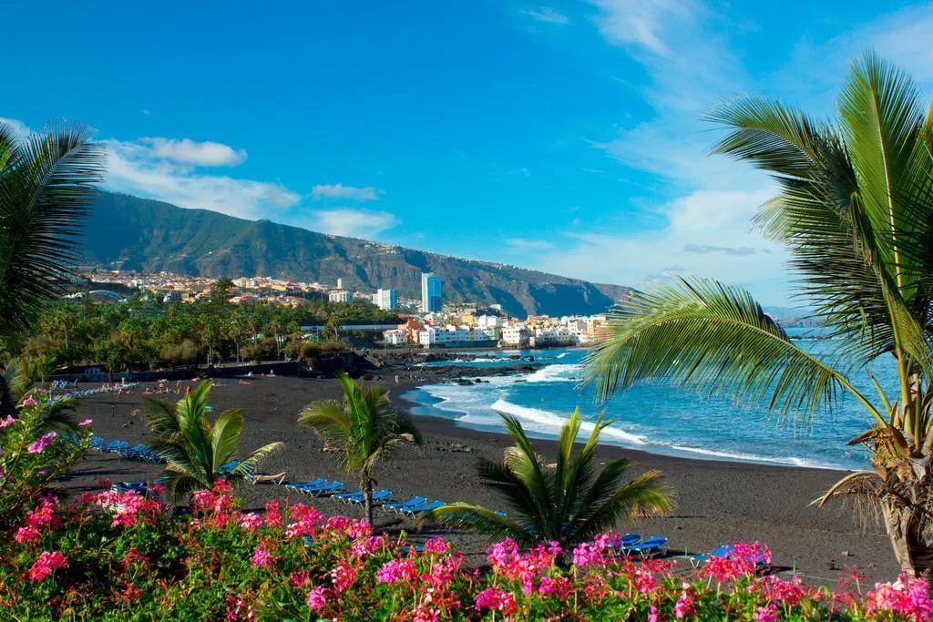 General view, Be Smart Florida, Tenerife