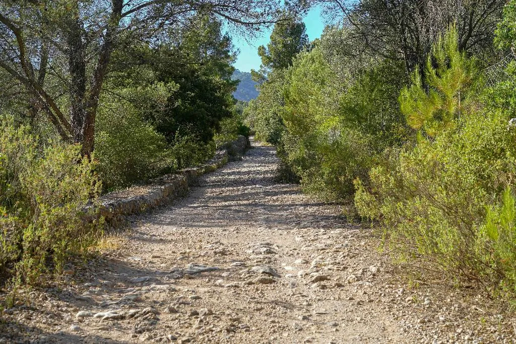 Sports and Entertainment, Hotel Rural S'Olivaret, Majorca
