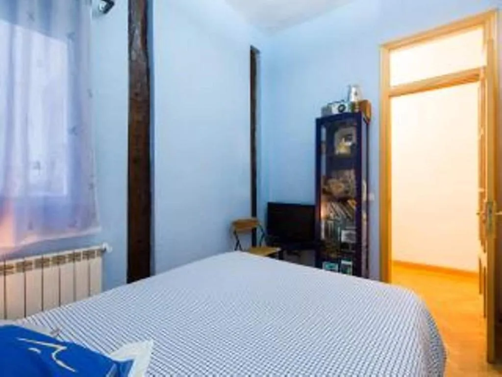 Room, Madrid Center Fuencarral Pedestrian, Madrid