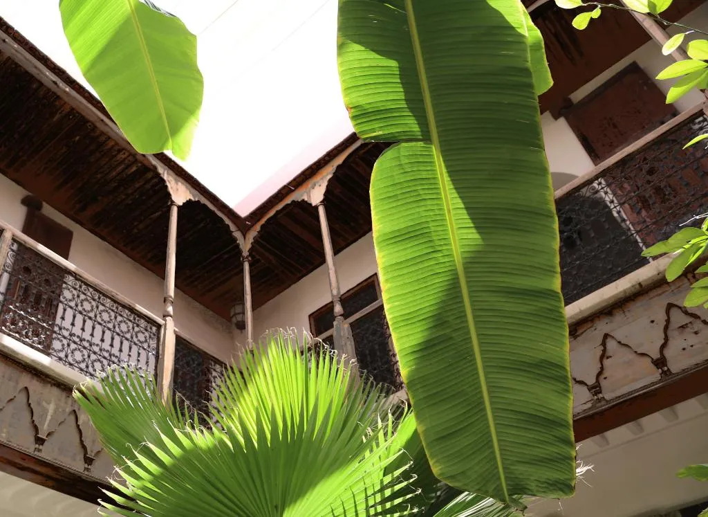 Lobby, Riad Djebel, Marrakech