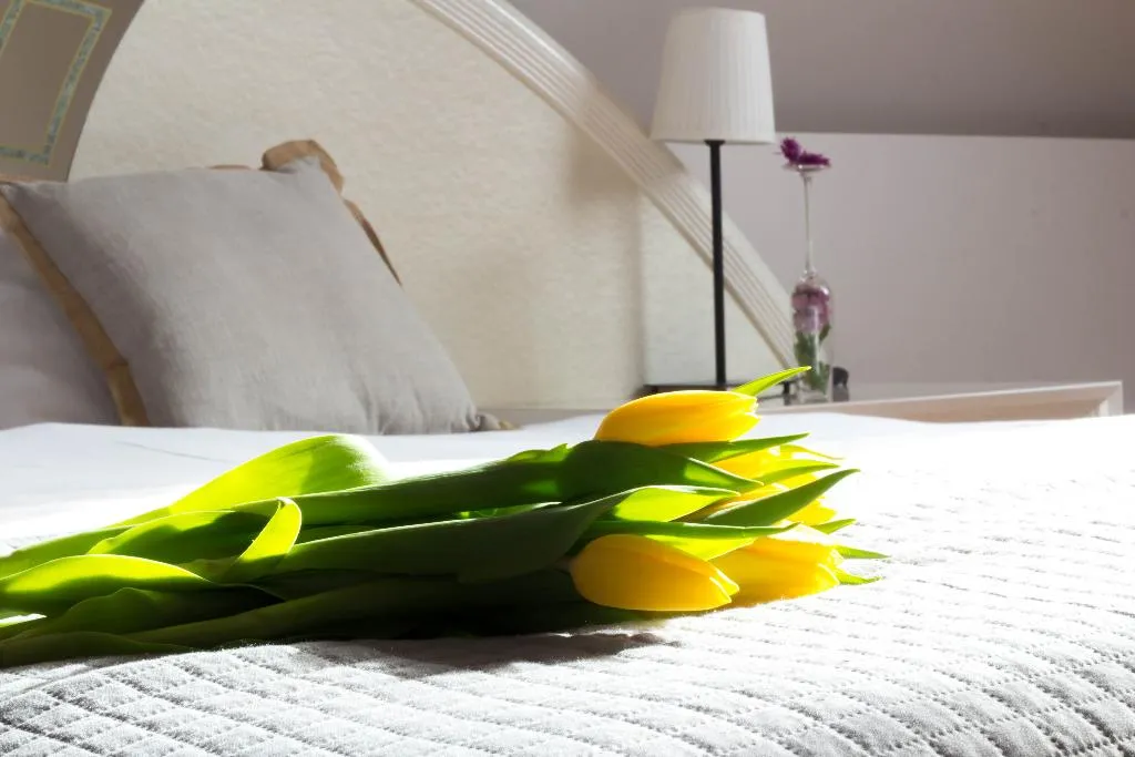 Room, The Spiski Palace Apartments, Krakow