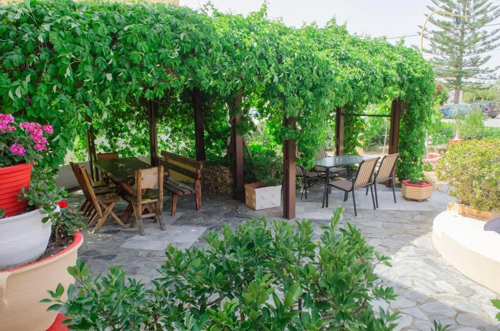 Terrace, Alkion, Crete