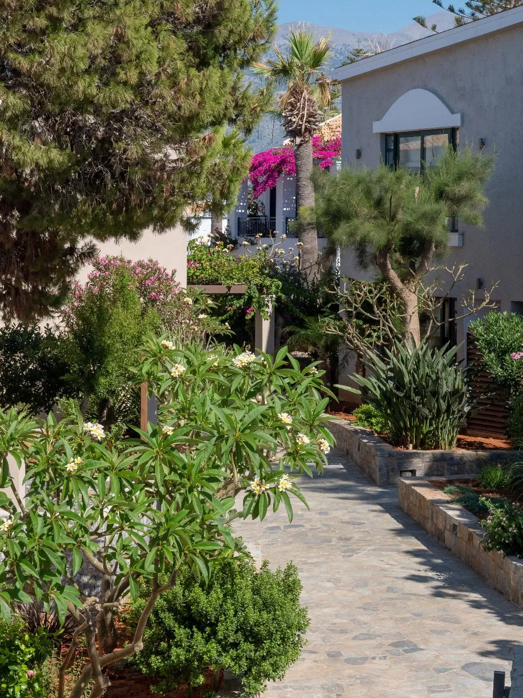 Terrace, Nana Golden Beach, Crete