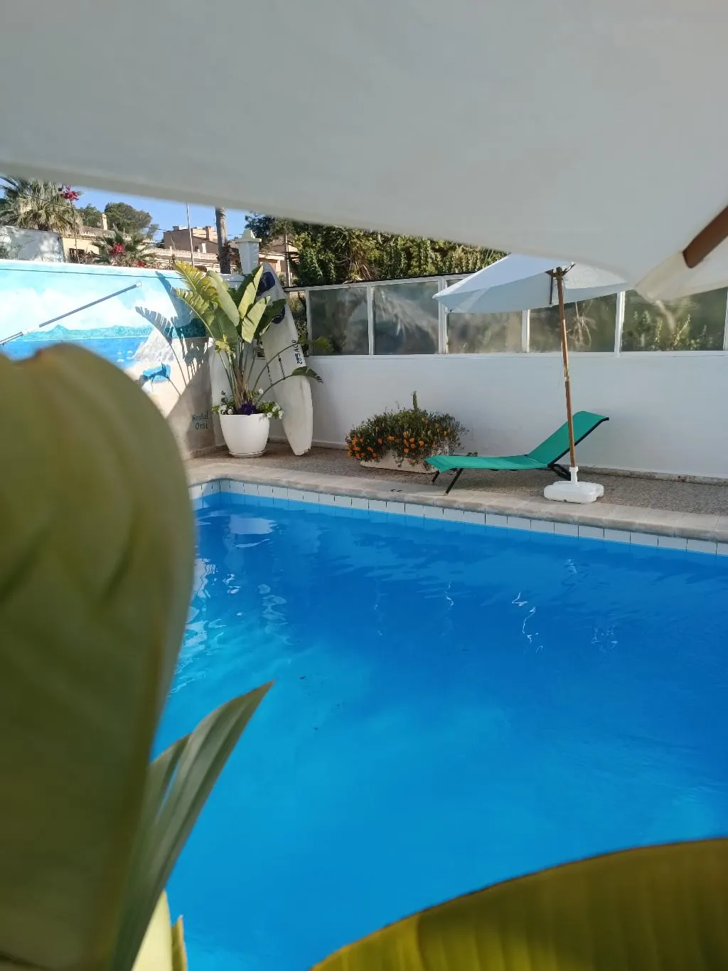 Pool, Hostal Orsi, Majorca