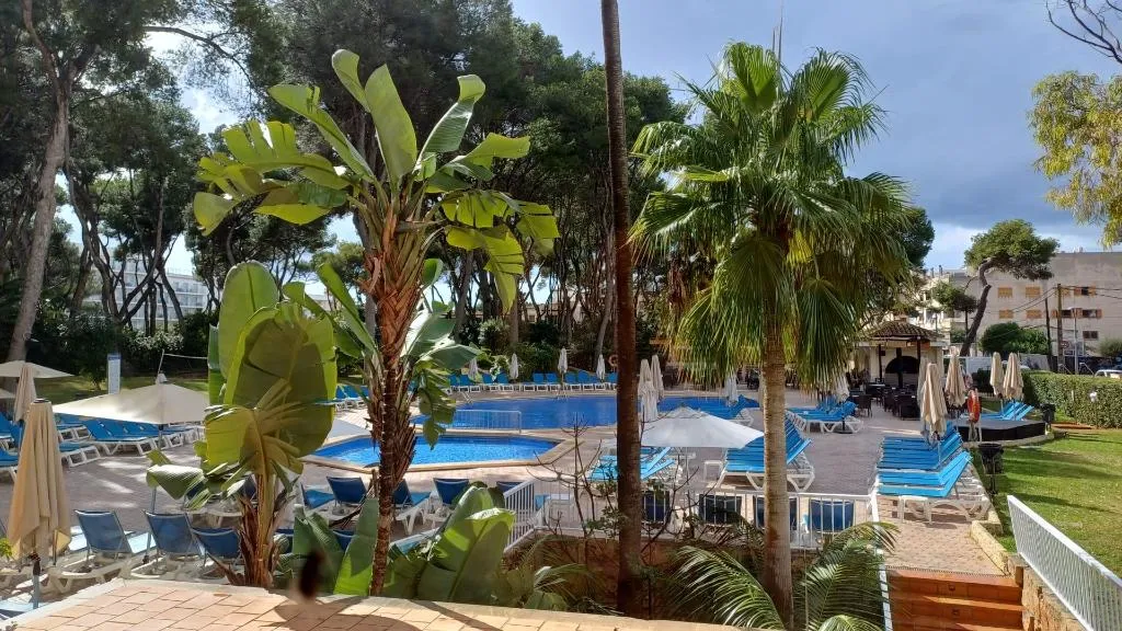 Pool, Pabisa Sofia, Majorca