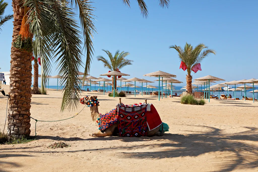Beach, The Three Corners Sunny Beach Resort, Red Sea Riviera