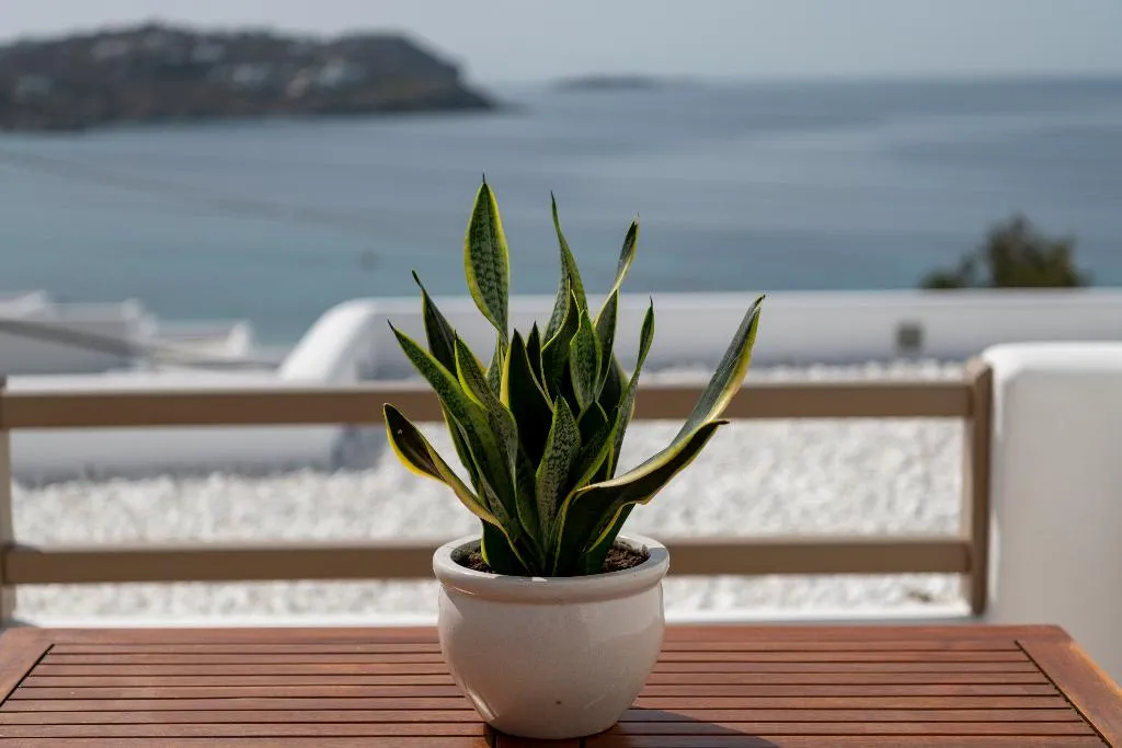 JUNIOR SUITE SEA VIEW Room, Lithos by Spyros & Flora, Mykonos
