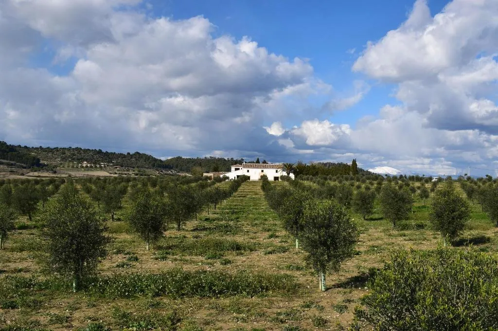 General view, Agroturisme Gossalba, Majorca