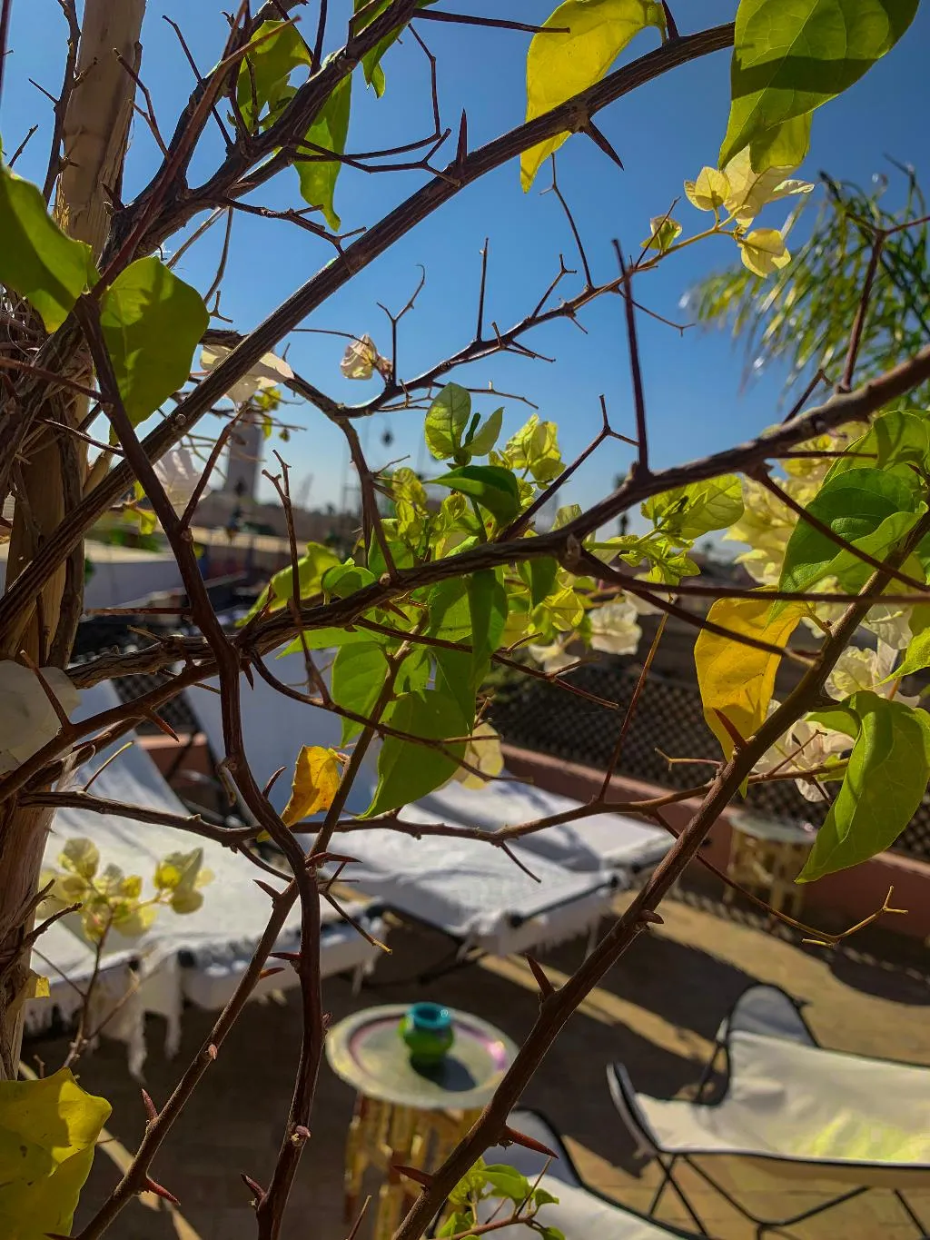 Terrace, Riad Abaka by Ghali, Marrakech