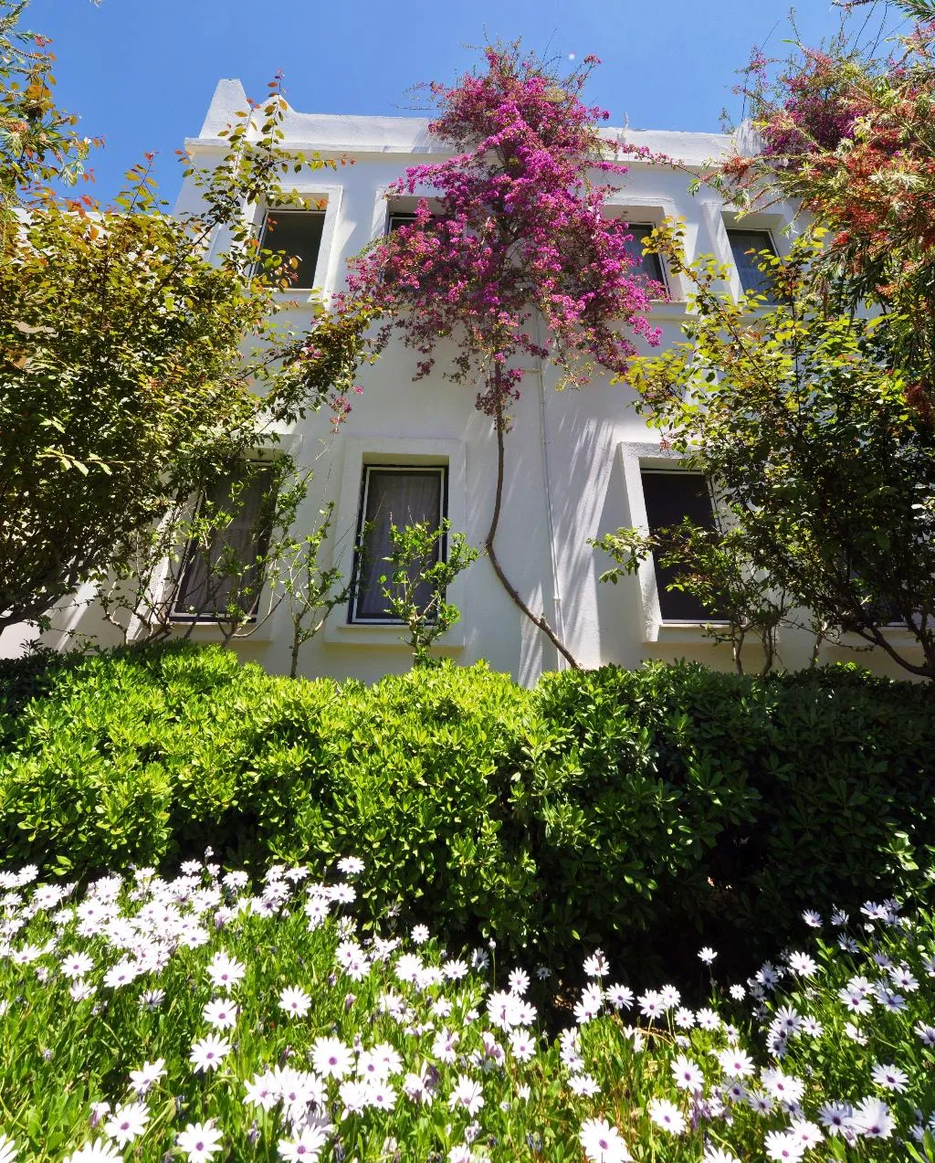 General view, Atrium, Bodrum