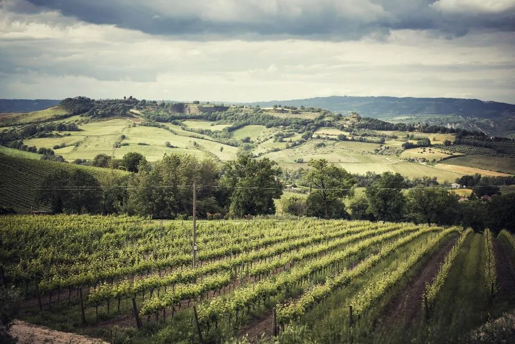 General view, Altarocca Wine Resort, Perugia