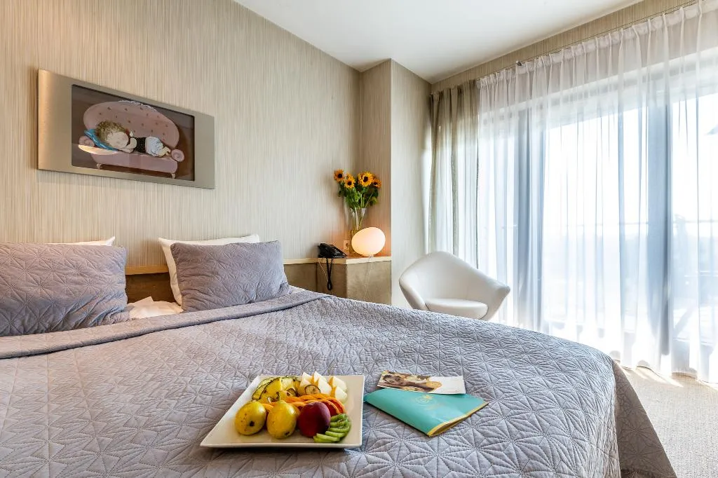 Room, Hotel Niebieski Art Hotel & Spa, Krakow
