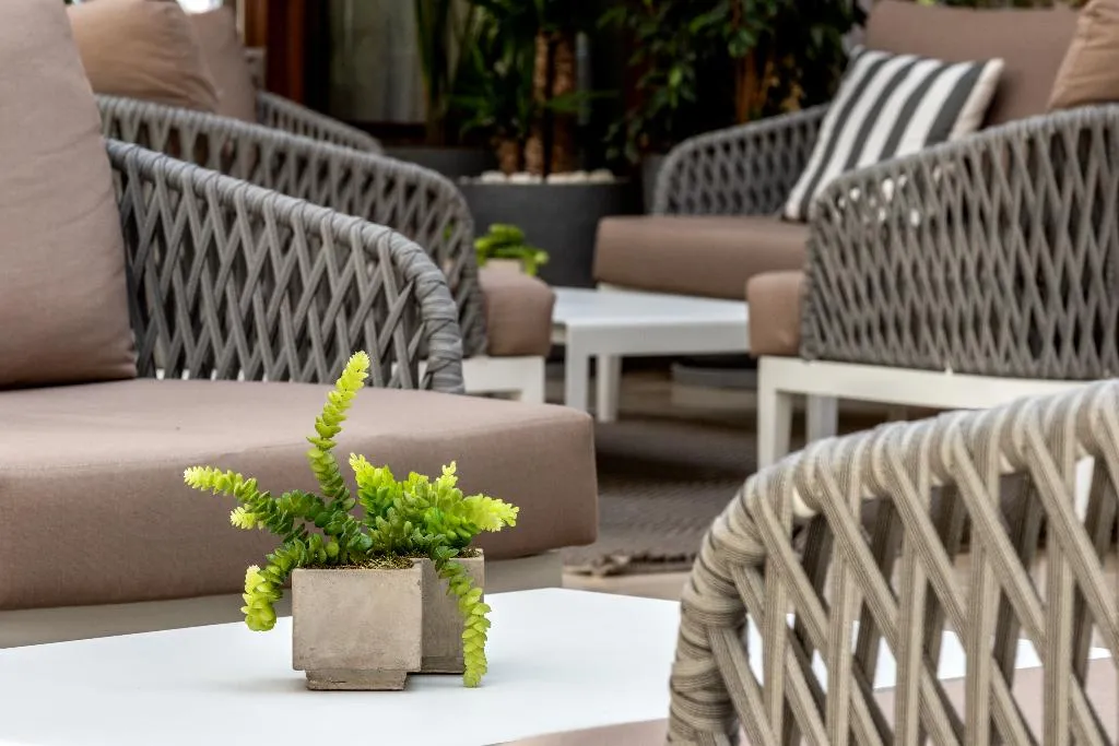 Lobby, Duva, Majorca