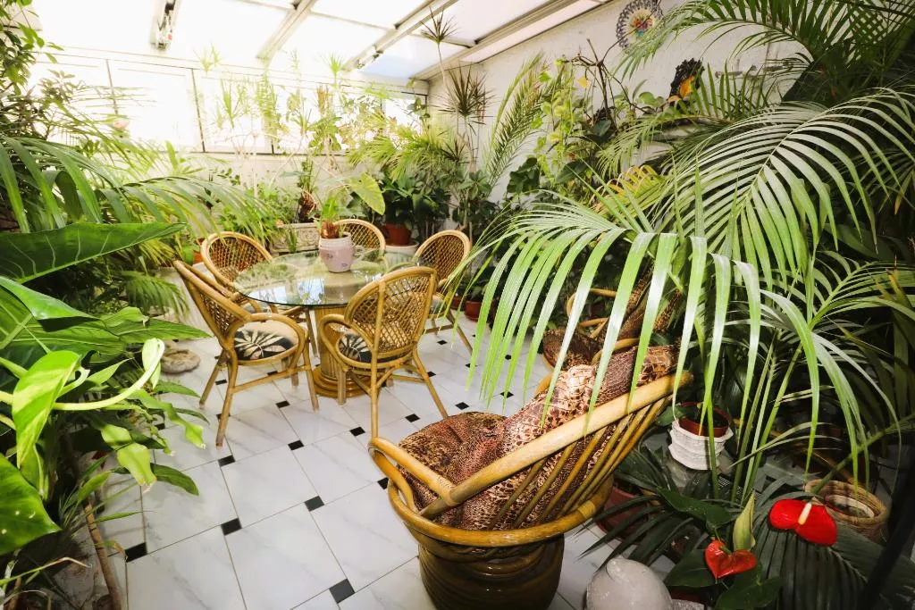 Terrace, Hostal Hispano-Argentino Gran Via, Madrid