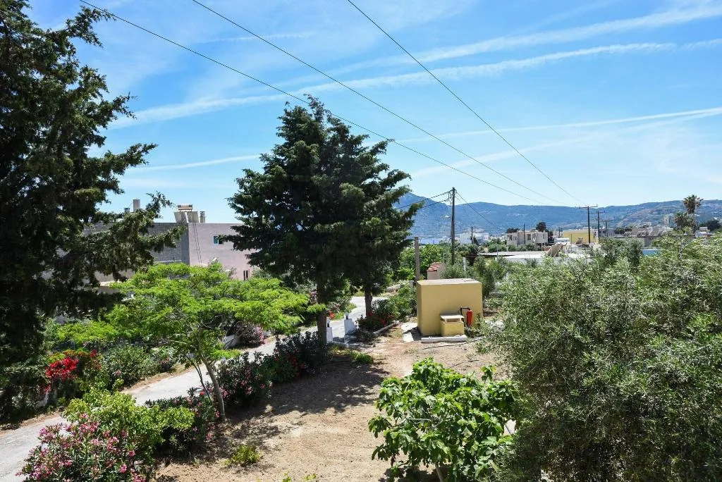 Terrace, Chrysoula, Kos