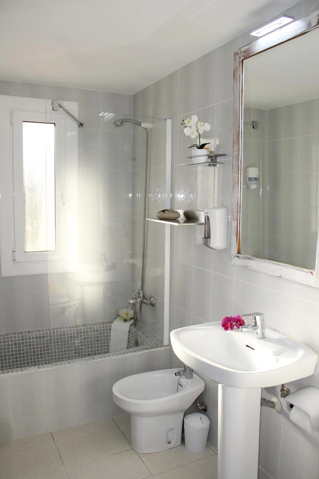 General view, Apartamentos Royal Life, Menorca