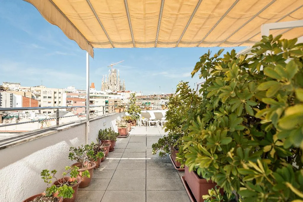 Terrace, Best Aranea, Barcelona
