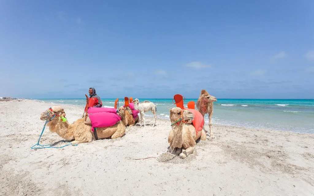 Beach, Cesar Thalasso & Convention, Tunisia