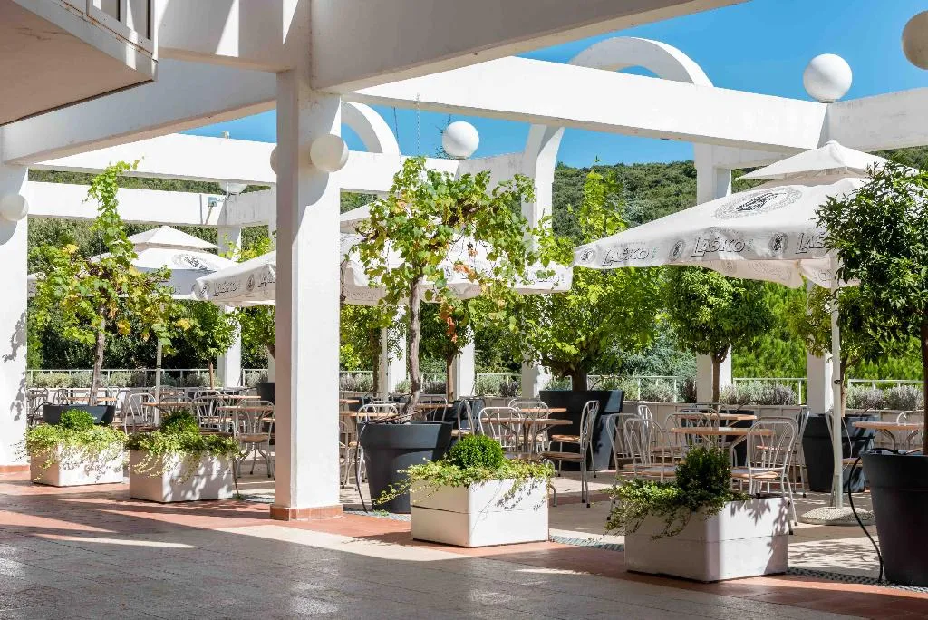 Terrace, Duga Uvala, Istria