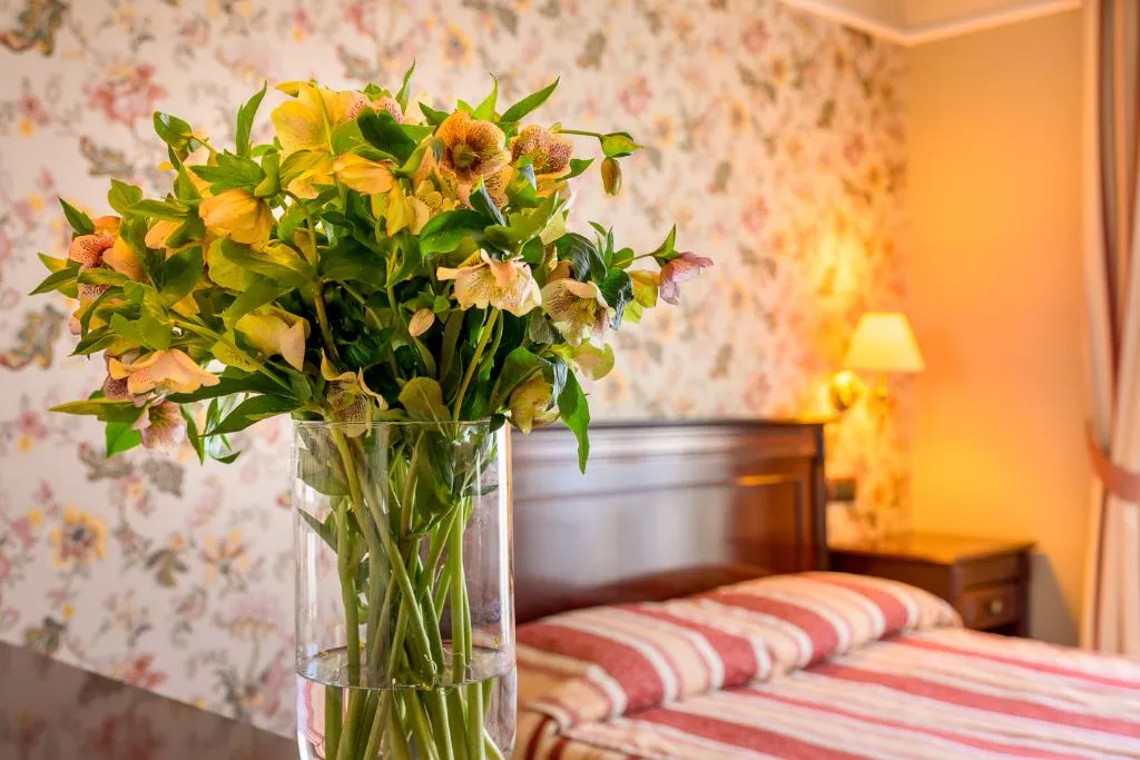 DOUBLE STANDARD Room, Boutique Splendid, Varna