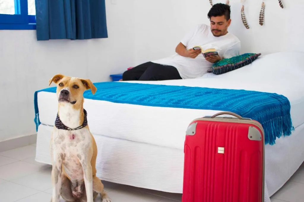 DOUBLE SUPERIOR Room, Casa Blat-Ha Holbox by Tribe Hotels, Cancun Area